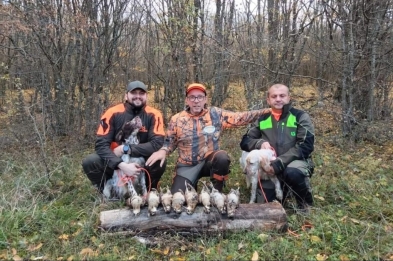 Woodcock hunting