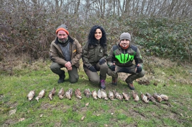 Woodcock hunting