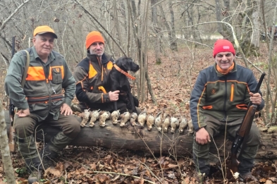 Woodcock hunting